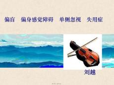 偏盲偏身感觉障碍单侧忽略失认证培训课件