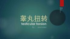 睾丸和附件扭转超声表现
