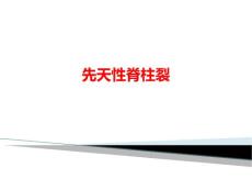 先天性脊柱裂