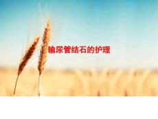 输尿管结石的护理