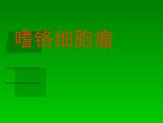 嗜铬细胞瘤【49页】