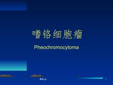 嗜铬细胞瘤【36页】