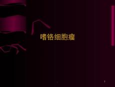 嗜铬细胞瘤【22页】
