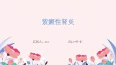 紫癜性肾炎ppt