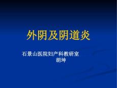 阴道炎【25页】