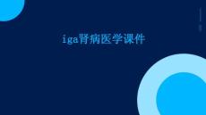 IgA肾病医学课件
