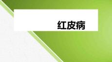 红皮病课件
