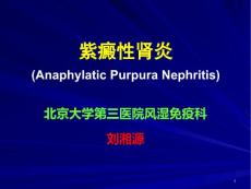 紫癜性肾炎PPT课件【65页】