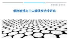 细胞增殖与三尖瓣狭窄治疗研究
