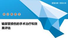 输尿管损伤的手术治疗和效果评估