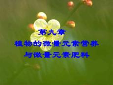 微量元素营养与微量元素肥料培训课件