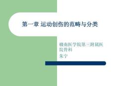 运动创伤的范畴和分类