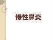 慢性鼻炎【13页】_20222614