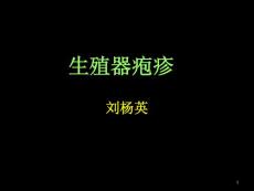 生殖器疱疹课件培训课件