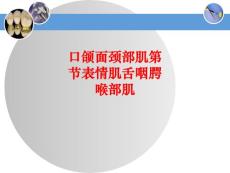 口颌面颈部肌表情肌舌咽腭喉部肌PPT培训课件