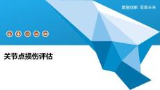 关节点损伤评估