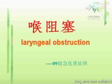喉阻塞病人的护理.ppt