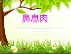 鼻息肉--ppt课件
