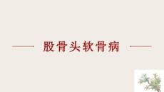《股骨头软骨病》课件