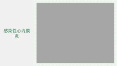感染性心内膜炎lj