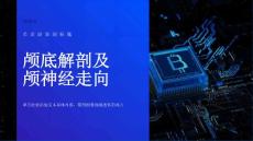 颅底解剖及颅神经走向