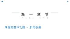 细胞的基本功能肌肉收缩