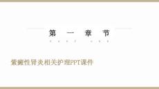 紫癜性肾炎相关护理课件