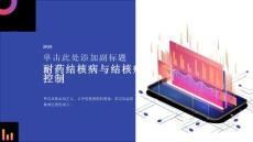 耐药结核病与结核病控制