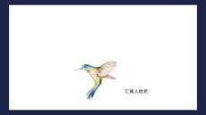 主动脉缩窄的介入治疗