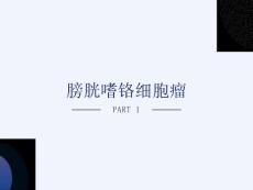 膀胱嗜铬细胞瘤