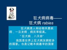 狂犬病病毒狂犬病PPT培训课件
