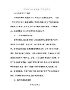 實習生2023年實習工作總結范文
