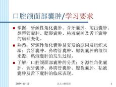 口腔颌面部囊肿