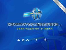 公路造价_同望WECOST