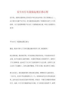 安全出行從我做起觀后感心得