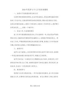 2024年度護士個人計劃標準模板(四篇)