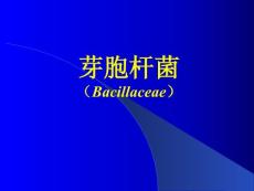炭疽杆菌医学课件