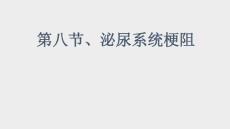 尿路梗阻及其他