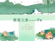 微量元素-铁