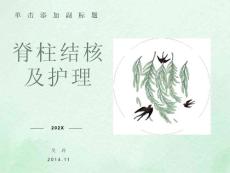 脊柱结核及护理