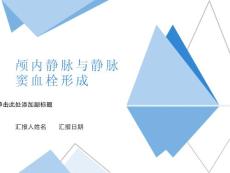 颅内静脉与静脉窦血栓形成