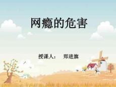 《网瘾的危害》