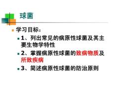 《球菌》課件