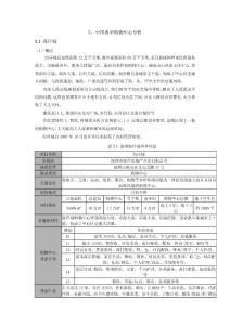 2[1].5中國典型購物中心分析