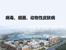 皮肤性病学04病毒性、细菌性、动物性皮肤病