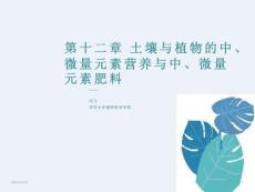 土壤与植物中微量元素营养与中微量元素肥料