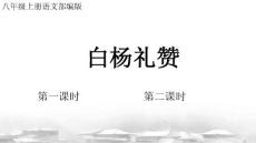 2024—2025學(xué)年統(tǒng)編版語文八年級上冊 第15課《白楊禮贊》課件（51張PPT）