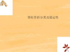 脊柱骨折分类