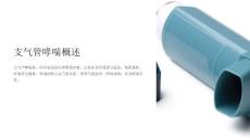 《支气管哮喘哮喘》课件