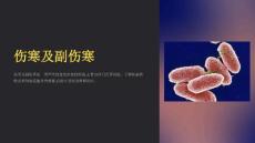 《伤寒及副伤寒》课件